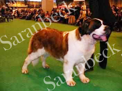 Barandi Penny Pictures. ( Penny ). 