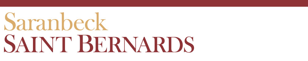 Saranbeck Saint Bernards and Lhasa Apsos